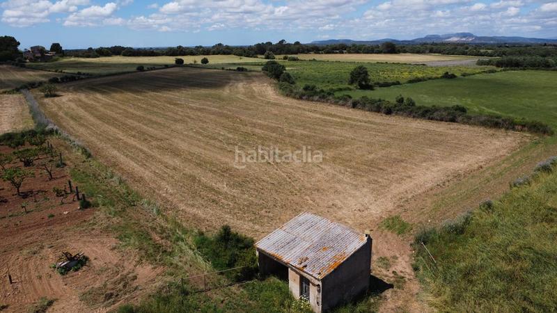 Foto c79f4541-b38a-4960-af02-fd565c48aafd. Rural plot in poligono 45 parcela 26 in Felanitx poble Felanitx