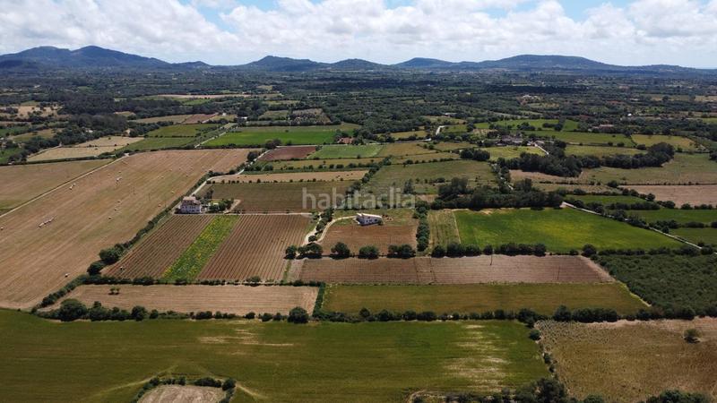Foto 9876a87e-4a85-4915-8dbb-cc6c8b6f4dc3. Finca rústica a poligono 45 parcela 26 a Felanitx poble Felanitx