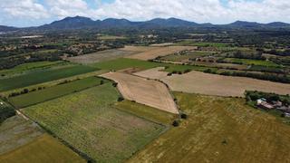 Finca rústica a Poligono 45 parcela 26