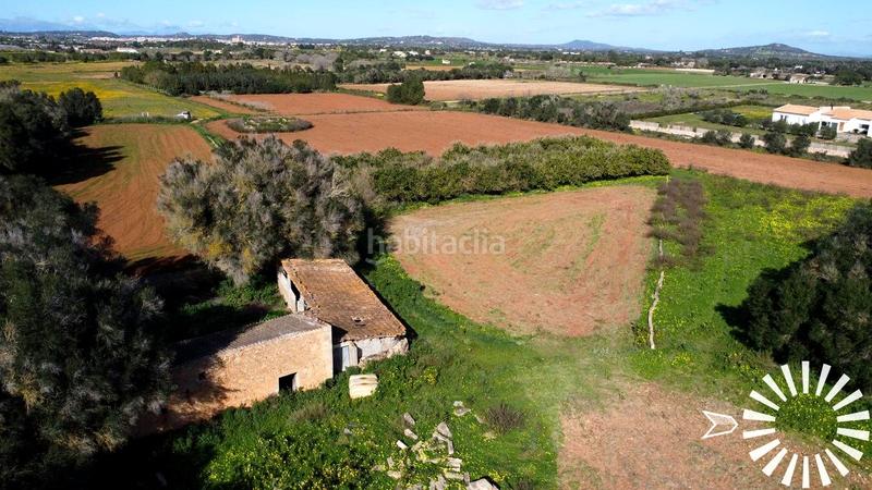 Foto 104b99e7-c58a-4a88-a204-70a6323ff078. Finca rústica en Porreres