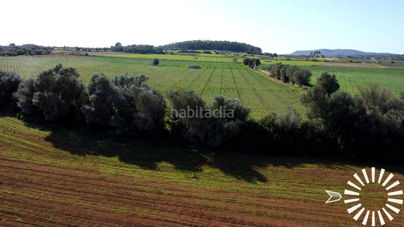 Foto 1baeaf62-a783-461a-ae11-190dd59b428a. Finca rústica en Porreres