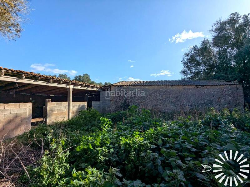 Foto 1d60de7d-a649-4507-993e-127a61ac05c6. Finca rústica en Porreres