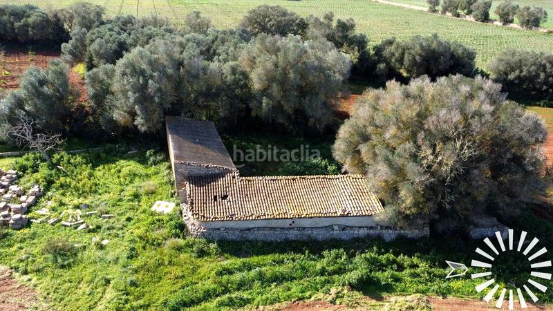 Foto 265794b4-9340-4977-8213-6053bb22a06e. Finca rústica en Porreres