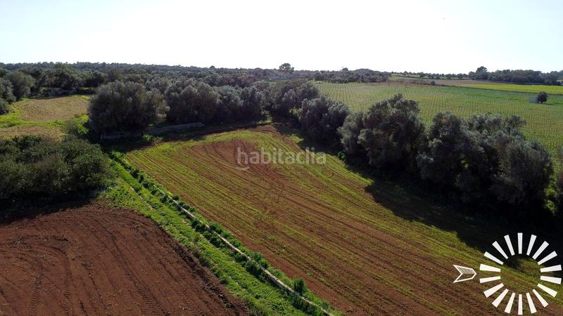 Foto 3f777749-ed41-4414-af3d-054f24897398. Finca rústica en Porreres