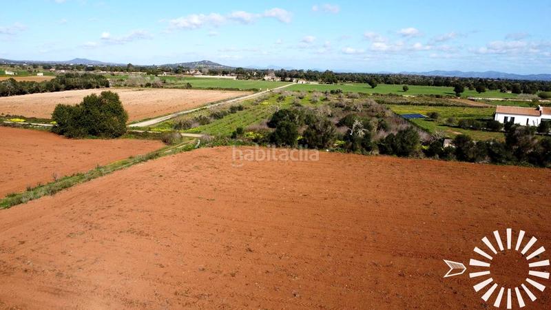 Foto 4adc020f-518d-44b5-b5f6-69b6516b7b27. Finca rústica en Porreres