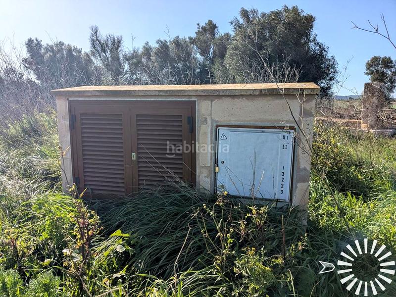 Foto 4f0682de-34b8-432a-a83f-02892555bce7. Finca rústica en Porreres
