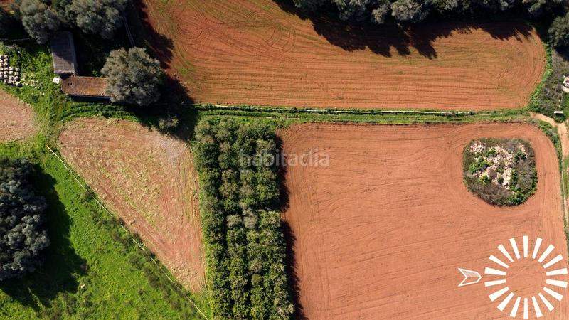 Foto 5139527f-e8c2-4fb3-a5bb-1ba7483b019c. Finca rústica en Porreres