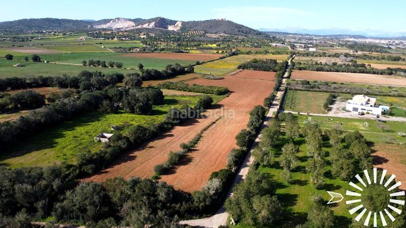 Foto 55866627-8e43-4ac5-9daa-1cd0c6f402f6. Finca rústica en Porreres