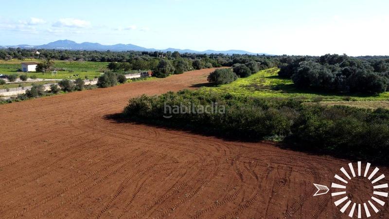 Foto 5974f54d-1557-432a-84e5-868077d69b24. Finca rústica en Porreres