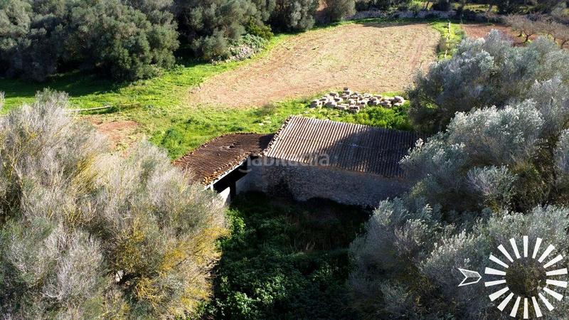 Foto 5ab8d896-e3d5-4658-896f-24770b040769. Finca rústica en Porreres