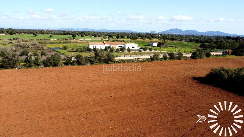 Foto 851b0cdd-4738-4da7-862d-1f81c9b8cd49. Finca rústica en Porreres