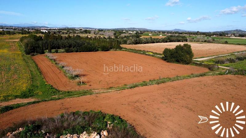 Foto 8b6eb61b-b166-42cf-bd26-eb36a57dff5d. Finca rústica en Porreres