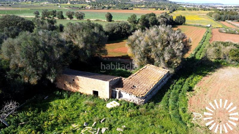 Foto b17e092e-7996-4251-b6bd-034821622510. Finca rústica en Porreres