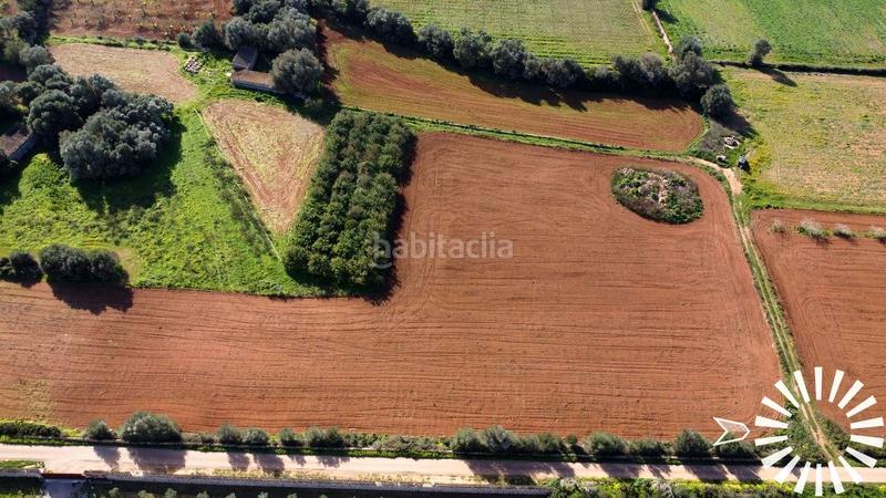 Foto d55b82a1-8303-4d8d-8e49-80aa0c31ad95. Finca rústica en Porreres