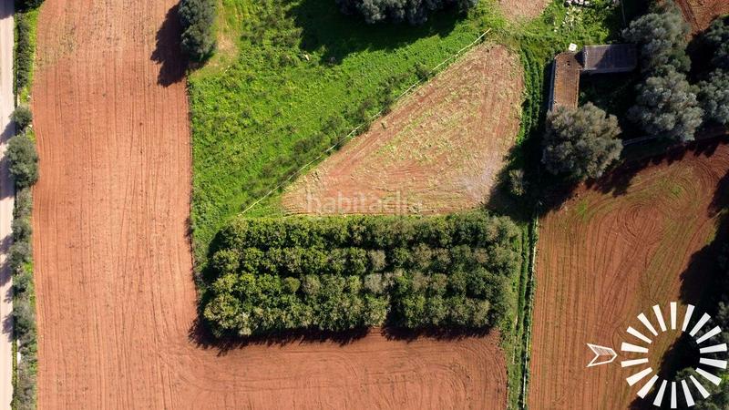 Foto fdee1108-d01d-4e98-b85e-39f84a292ae6. Finca rústica en Porreres
