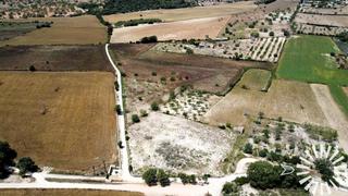 Rural plot in son Drago