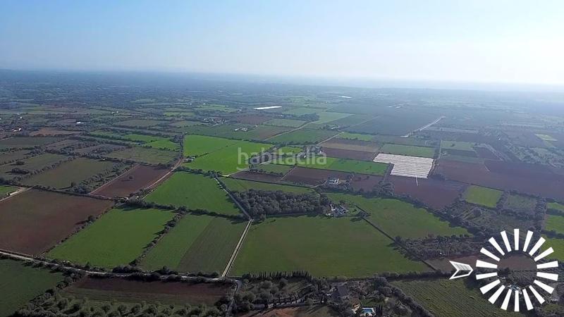 Foto 06b95eae-4ad2-49f0-abf9-80ad5855e3ed. Terrain résidentiel dans polígono 8 parcela 35 35 dans Porreres