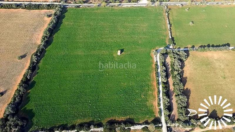 Foto 1ee279b8-5134-49a6-ab83-2450ed4ccaac. Terrain résidentiel dans polígono 8 parcela 35 35 dans Porreres