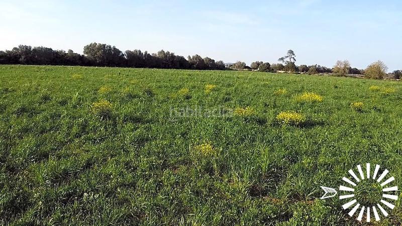 Foto 4c61a768-a446-433b-8de8-abece5b325e4. Terrain résidentiel dans polígono 8 parcela 35 35 dans Porreres