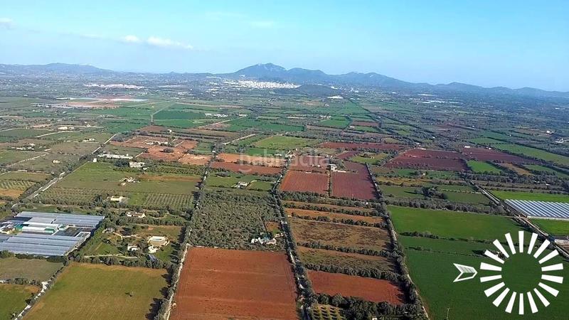 Foto 8d6a6abc-e90d-4ba3-9933-dbb646c56eec. Terrain résidentiel dans polígono 8 parcela 35 35 dans Porreres