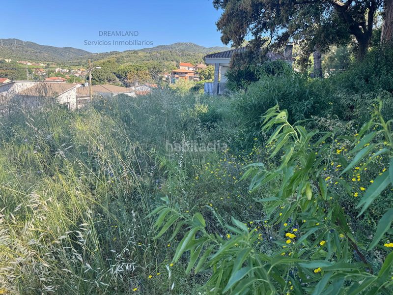 Foto e09eda66-cdbb-4209-9a9f-e85fca904875. Terreny residencial a Piera