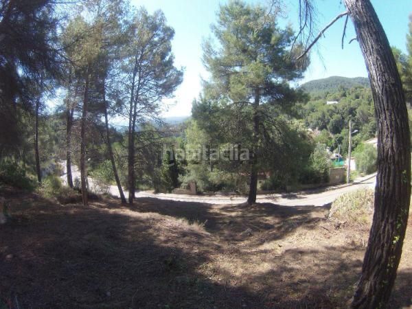 Foto 8d622dc3-3e34-4a95-bec5-ba0e13c28959. Terreny residencial a Cabrera d´Anoia
