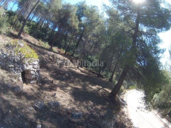 Foto f43e5ef2-a612-4e6a-ad38-edba33fc0c72. Terreny residencial a Cabrera d´Anoia
