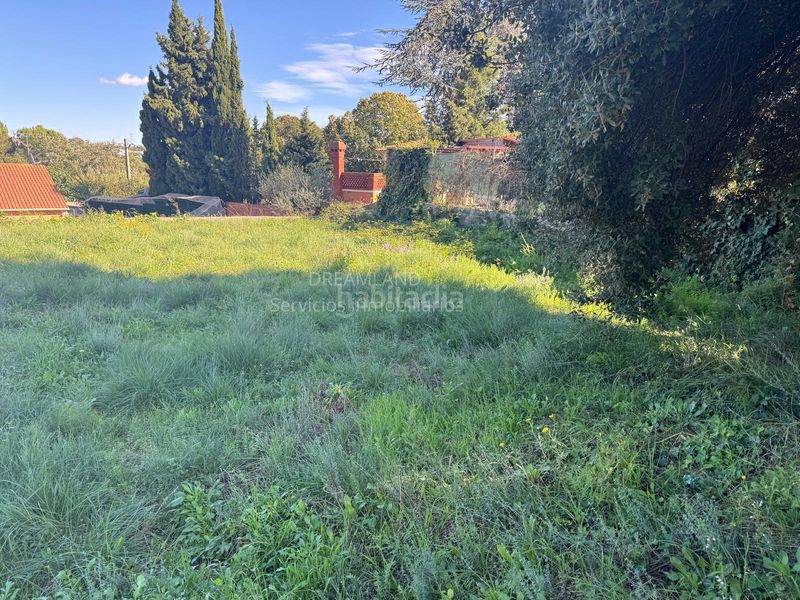 Foto 0ba5b71a-3d36-4699-830d-45cb32c5c86f. Terreny residencial a Piera