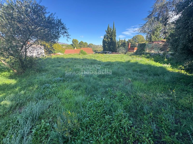Foto d3cd12da-da1c-47a4-a5ed-f4d287eb9f80. Terreny residencial a Piera
