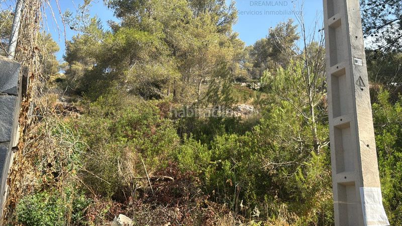 Foto 6771d667-5685-4938-b358-41de34d09b04. Terreny residencial a Olivella