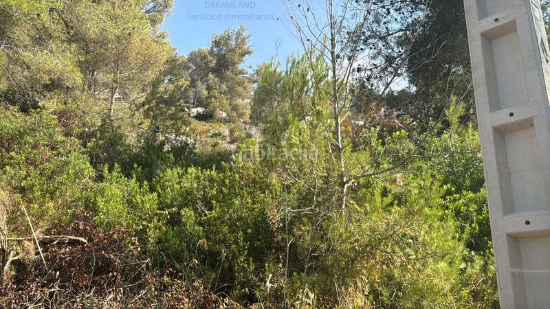 Foto ed17b471-bb4d-49c2-86fb-69e7bc645498. Terreny residencial a Olivella