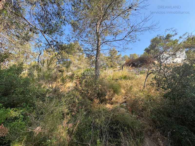 Foto fe76c33e-b2c9-4696-a751-2f6155570c5e. Terreny residencial a Olivella