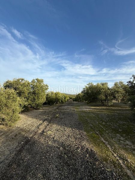Foto 7a53a6c6-6747-4595-91fa-fba4baecb5f2. Finca rústica a Benamejí