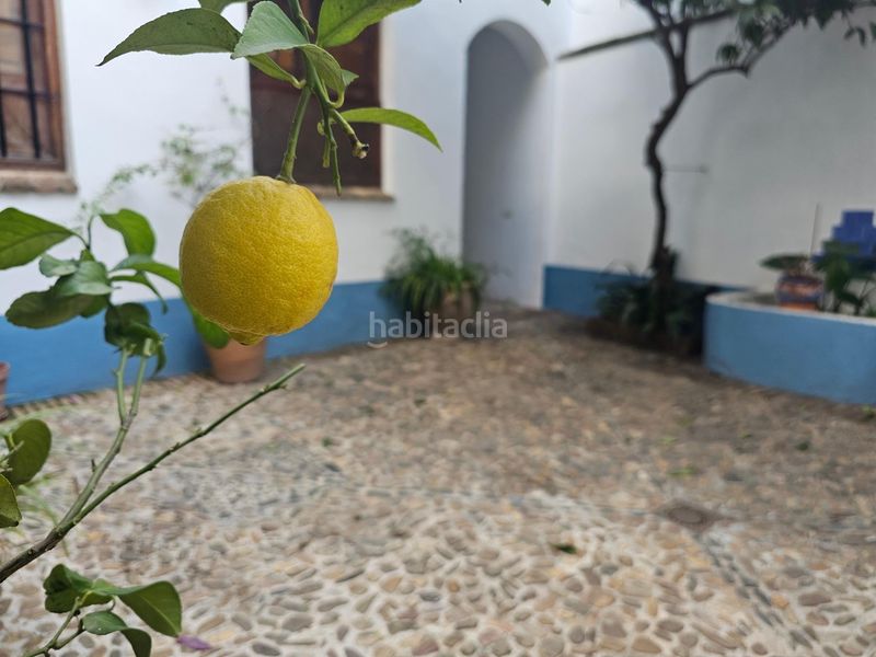 Foto b396d9d1-7bed-4adc-a72e-bc54ac247342. Dúplex a calle averroes 10 a casco histórico - ribera - san basilio Córdoba