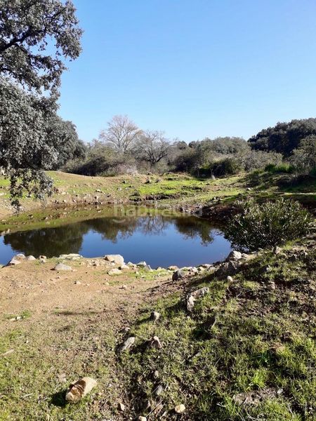 Foto 08f804f5-84b0-42e1-a7fe-226a3b9da7b7. Finca rústica a Fuente Obejuna