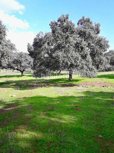 Foto 0f7c81fc-b094-4d1f-ae54-3b626b6b0ebc. Finca rústica a Fuente Obejuna
