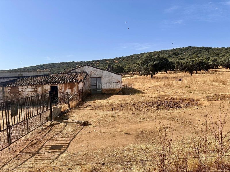 Foto 4ac39016-da50-4b63-92fa-aabea0105829. Finca rústica a Fuente Obejuna