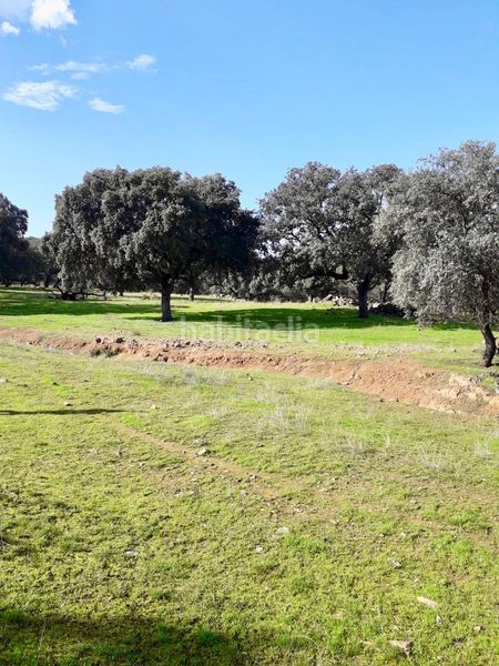 Foto 5fb9035e-cf90-4926-a070-e3decc43925d. Finca rústica a Fuente Obejuna