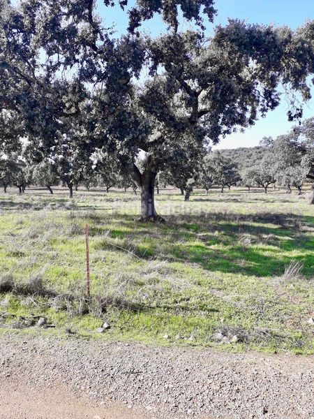 Foto 62d9e920-a357-4977-8a4c-a23516b16473. Finca rústica a Fuente Obejuna