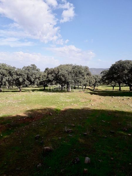 Foto 779e6330-d416-41e7-a15b-071dd9767898. Finca rústica a Fuente Obejuna