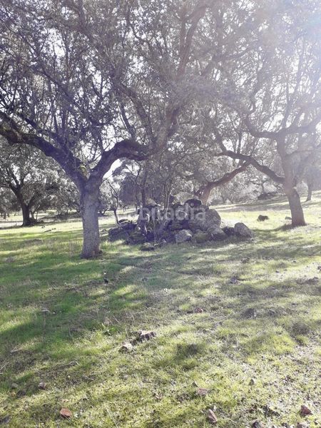 Foto 907ecee9-d1f9-4475-8dce-a3bb80ced11e. Finca rústica a Fuente Obejuna