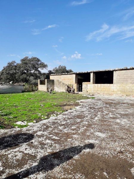 Foto 91fa3a8a-3b6a-4172-bd44-5683a3e825b3. Finca rústica a Fuente Obejuna