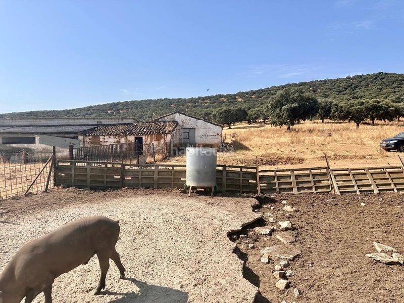Foto 9998d46c-ebcc-4b30-afff-c0d0876d09f3. Finca rústica a Fuente Obejuna
