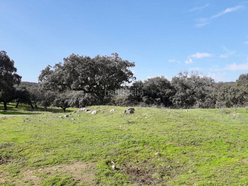 Foto c13870bf-0b2a-4984-9d4e-a5ae550a328d. Finca rústica a Fuente Obejuna