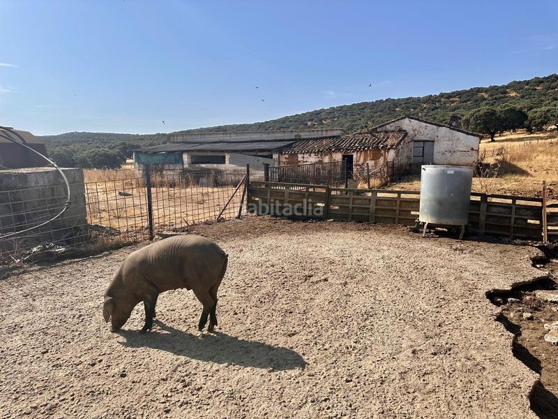 Foto ce873e3b-47f5-4a89-a988-2352cf8ee7dc. Finca rústica a Fuente Obejuna