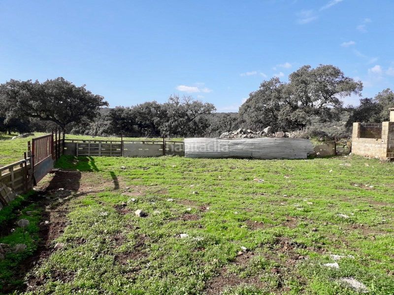 Foto d2a5d2ed-d470-4196-a9b3-0941229e8d69. Finca rústica a Fuente Obejuna