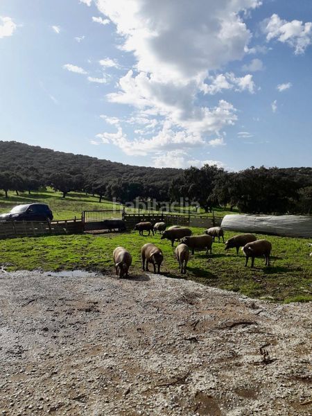 Foto d36c1b6a-927d-44f4-aa1b-880850ae3723. Finca rústica a Fuente Obejuna