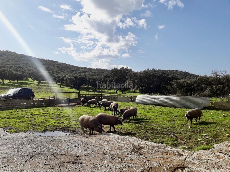 Foto f1b7d5ae-ab0c-44f6-999f-0332db7e7150. Finca rústica a Fuente Obejuna