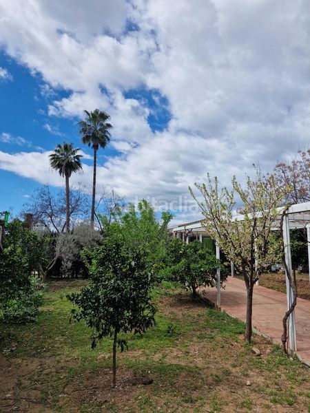 Foto ea6a7cf9-eccc-4933-828a-9bd1b900fe6c. Casa amb calefacció aparcament piscina a Villarrubia Córdoba