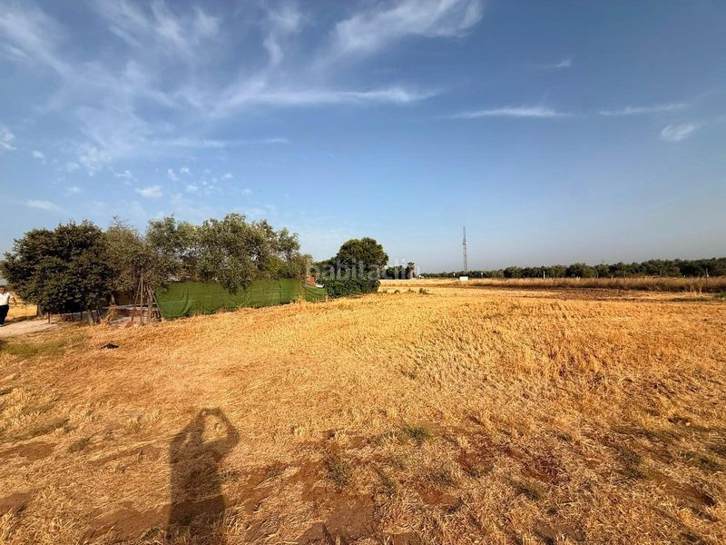 Foto 26af4d63-3188-4085-88f1-ad23badeb1fb. Terreny residencial a Carlota (La)